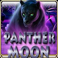 Live22 slot